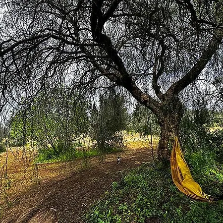 Penzion Salento Farm *