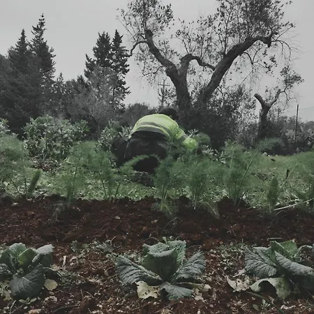 Salento Farm Bagnolo del Salento